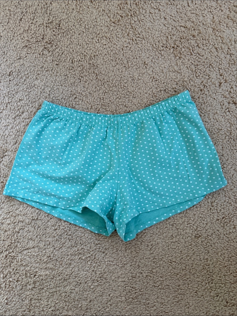 Brandy melville emery seafoam teal hearts shorts
